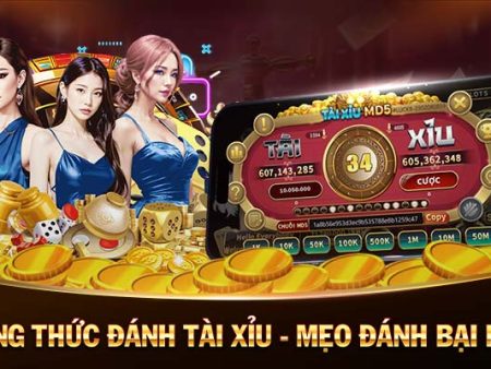 Nên chơi Poker Online hay Offline 12Bet