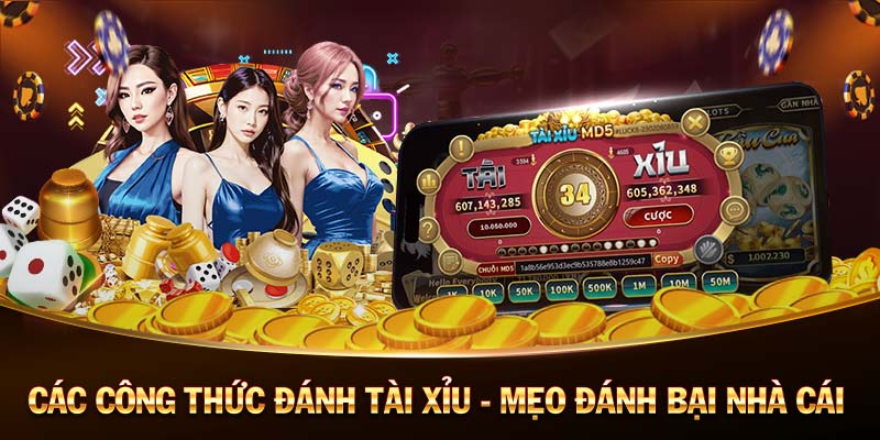 Nên chơi Poker Online hay Offline 12Bet